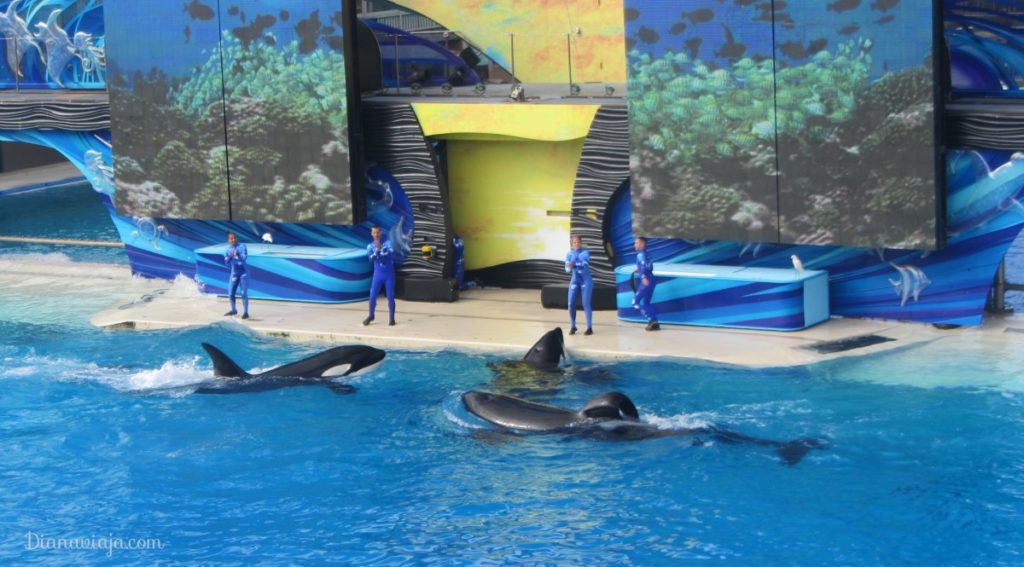 SeaWorld, Turismo com animais, Turismo, San Diego