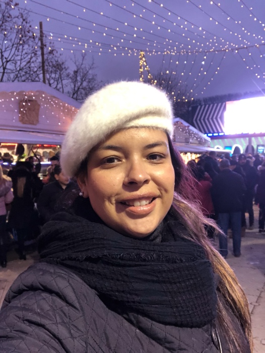 Mercado de Natal Paris